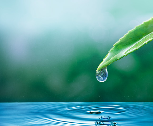 Economizar água: 5 dicas exclusivas no Blog da Copafer
