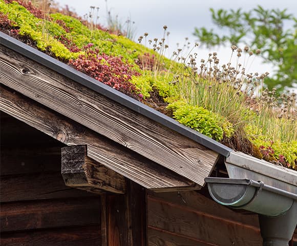 como fazer telhado verde: descubra no blog da copafer